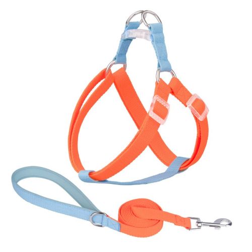Macaron Traction Dog Rope Small And Medium Sized Pets